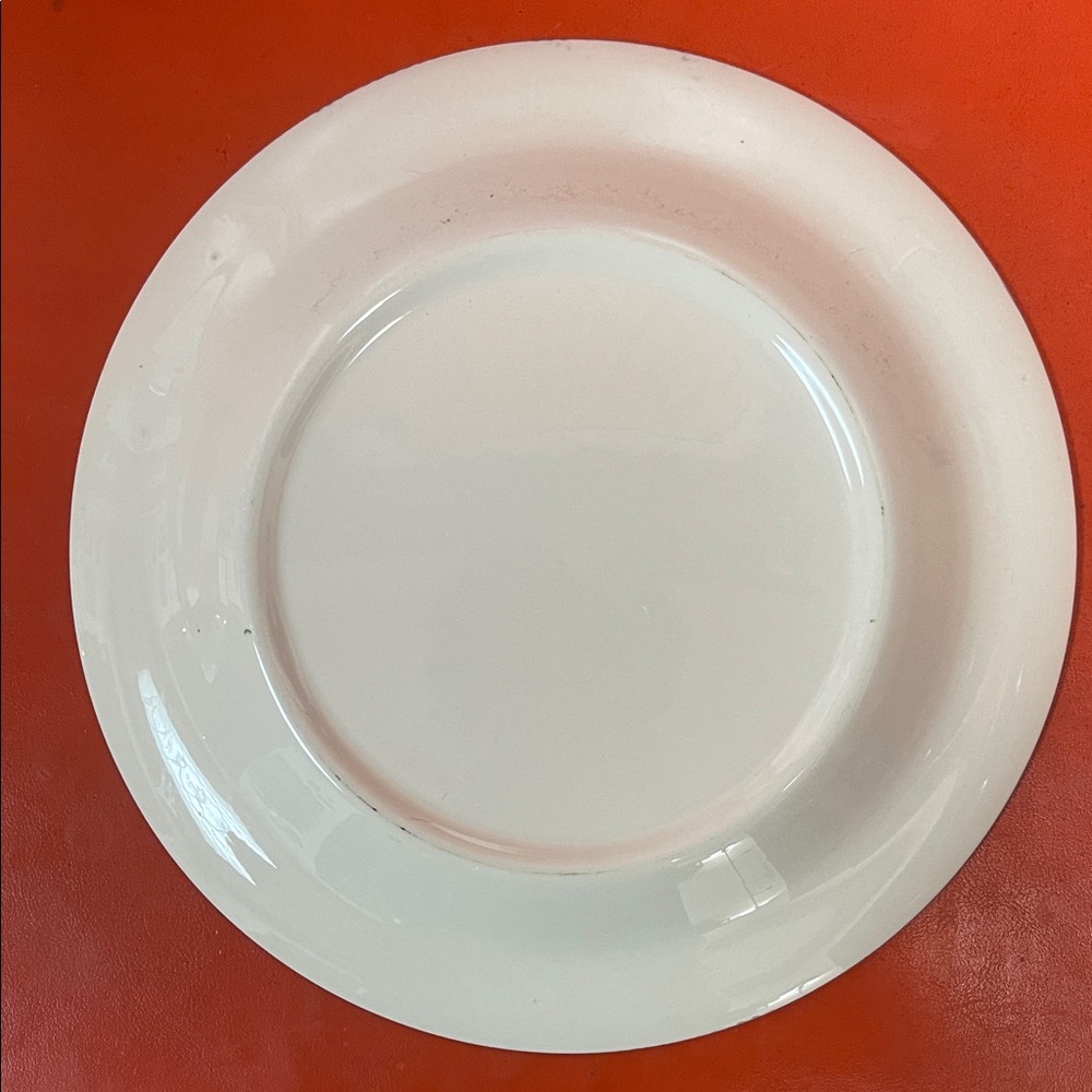 Vintage Scenic Blue and Cream Plate - Picture 3 of 5
